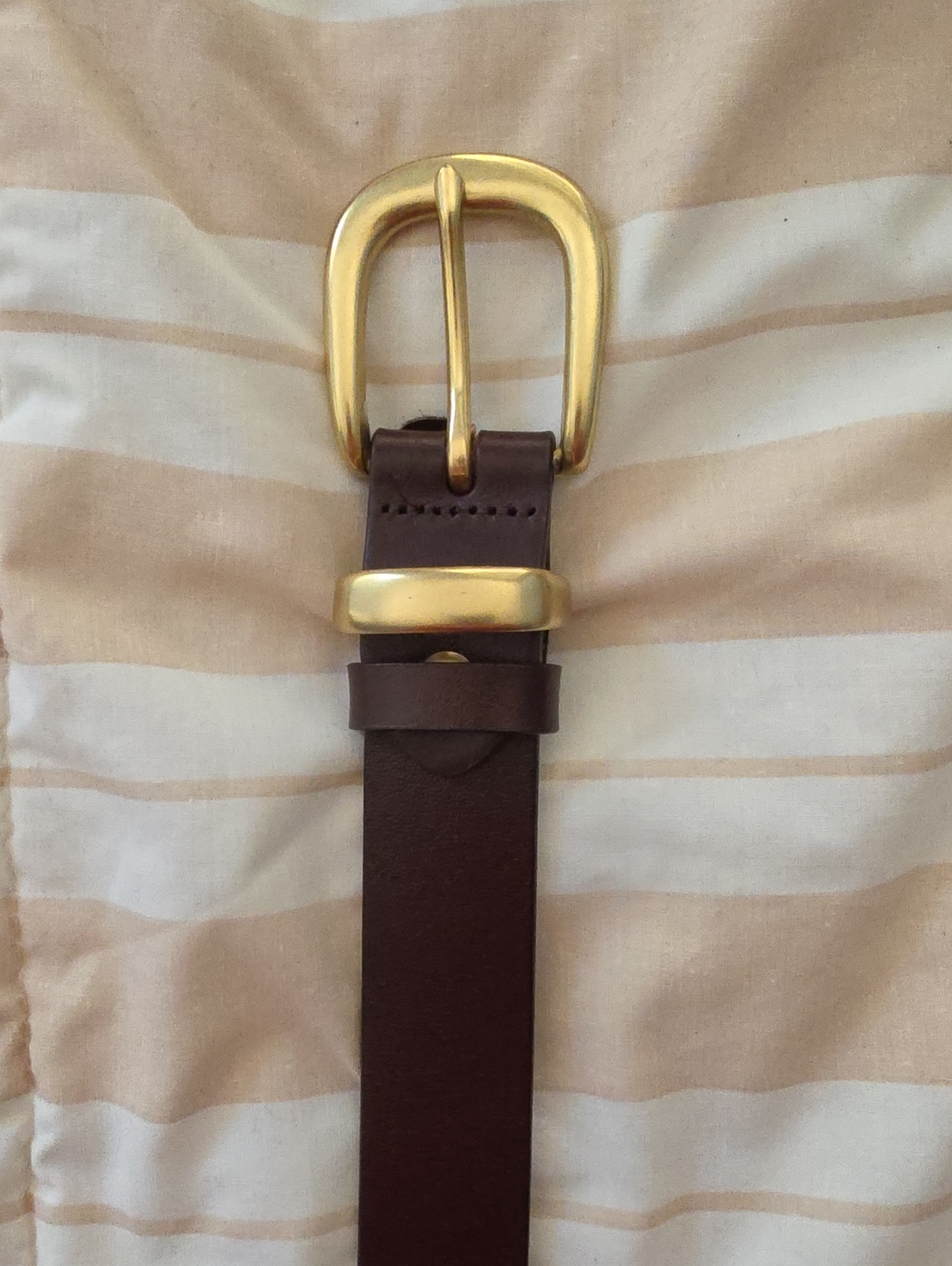 Dark Brown Leather Belt with Gold Buckle